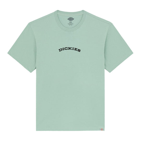 Men's Dickies Outdoor T-shirt Water Green