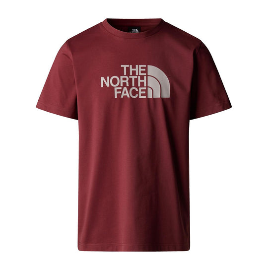 Men's T-shirt The North Face Easy Bordeaux / Gray